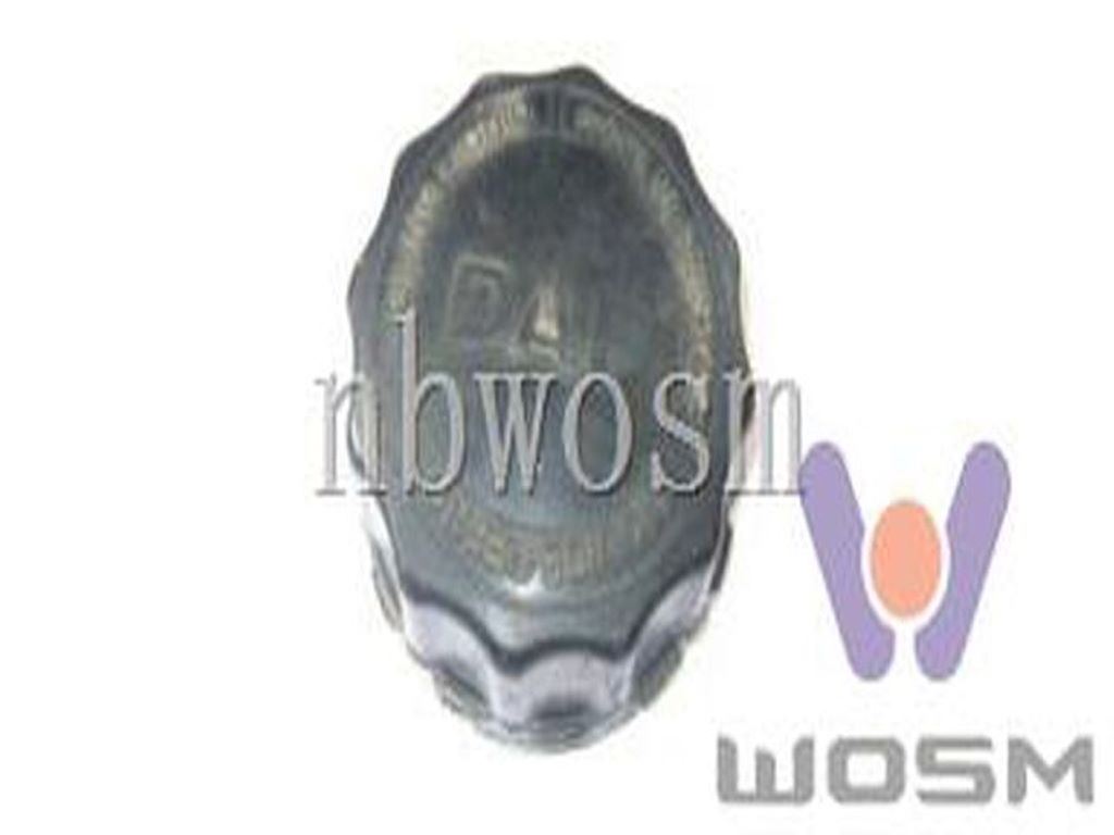 KOREK ZBIORN.WYROW.DAF 95XF