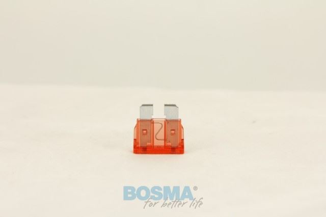 BEZPIECZNIK PLASKI 10A